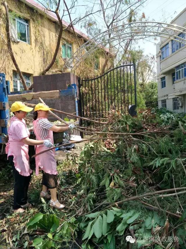 ��������y���������