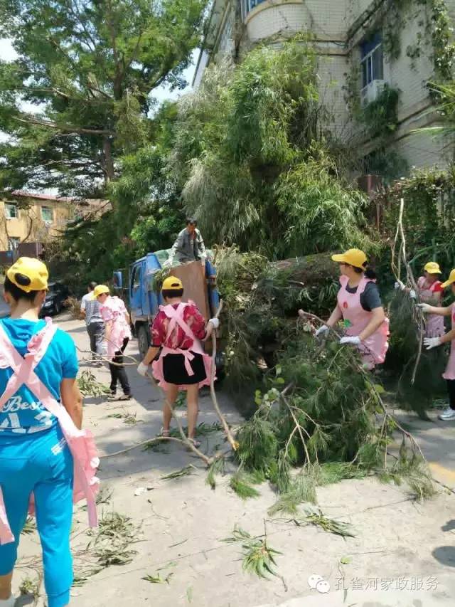 ��������y���������