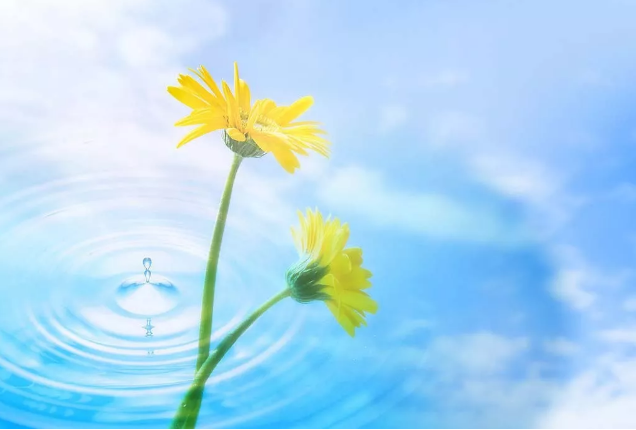 2018經(jīng)典最新感說說,適合做個(gè)性簽名!